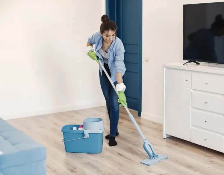 Femme de ménage Dietwiller